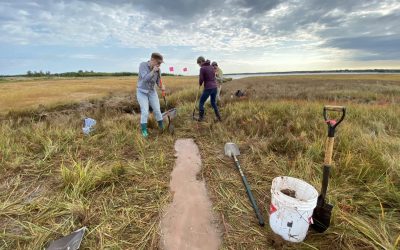 Building coastal resilience through restoring salt marshes