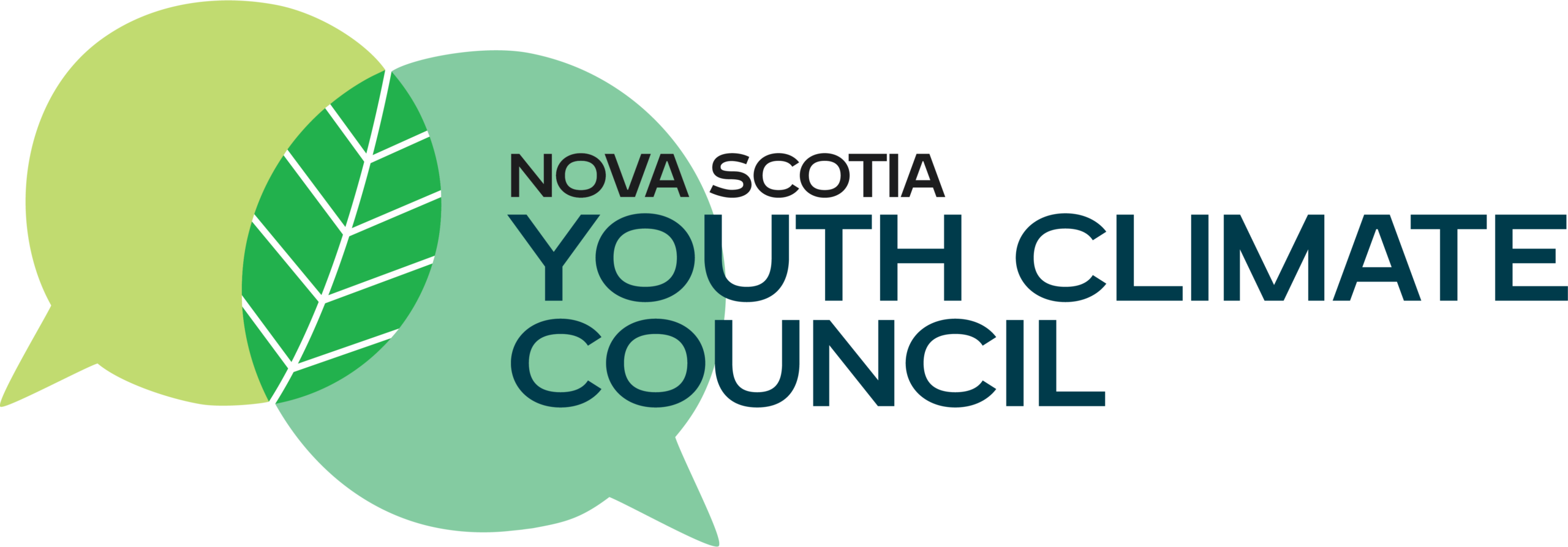 Youth Climate Council logo