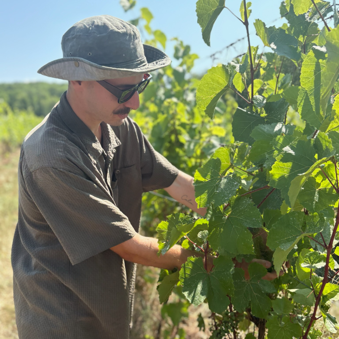 Showcase your summer